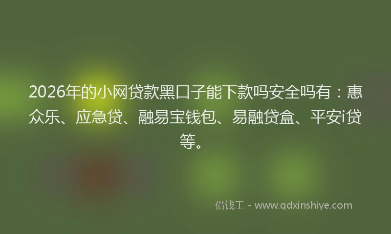 2026年的小网贷款黑口子能下款吗安全吗有:惠众乐、应急贷、融易宝钱包、易融贷盒、平安i贷等。