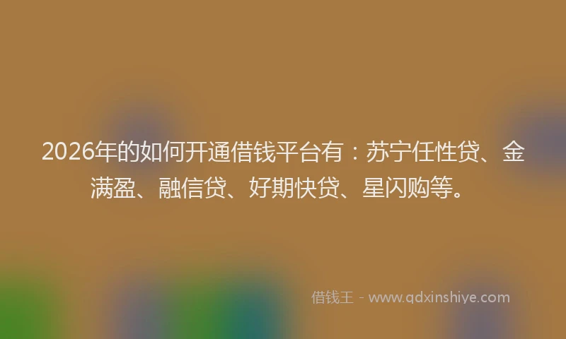 2026年的如何开通借钱平台有：苏宁任性贷、金满盈、融信贷、好期快贷、星闪购等。