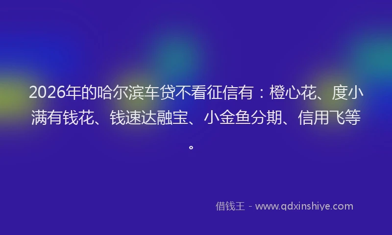 2026年的哈尔滨车贷不看征信有：橙心花、度小满有钱花、钱速达融宝、小金鱼分期、信用飞等。