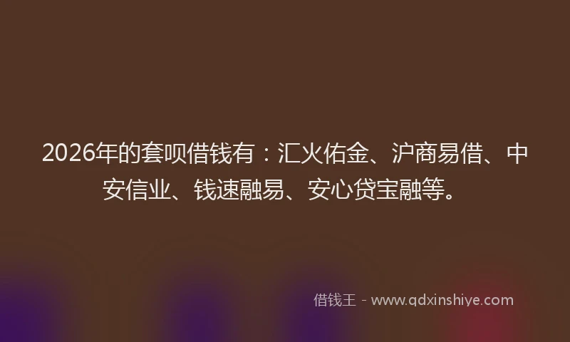 2026年的套呗借钱有：汇火佑金、沪商易借、中安信业、钱速融易、安心贷宝融等。