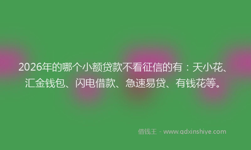 2026年的哪个小额贷款不看征信的有：天小花、汇金钱包、闪电借款、急速易贷、有钱花等。