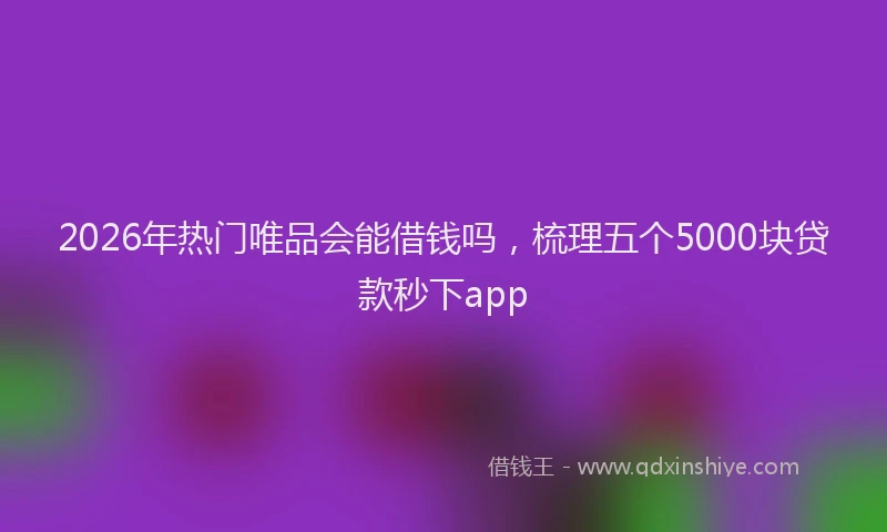 2026年热门唯品会能借钱吗，梳理五个5000块贷款秒下app