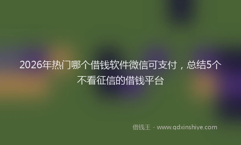2026年热门哪个借钱软件微信可支付，总结5个不看征信的借钱平台
