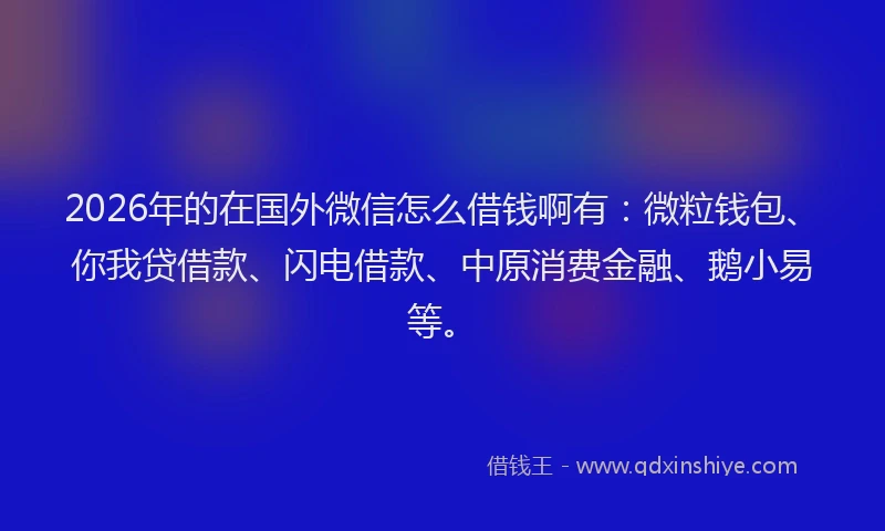 2026年的在国外微信怎么借钱啊有：微粒钱包、你我贷借款、闪电借款、中原消费金融、鹅小易等。
