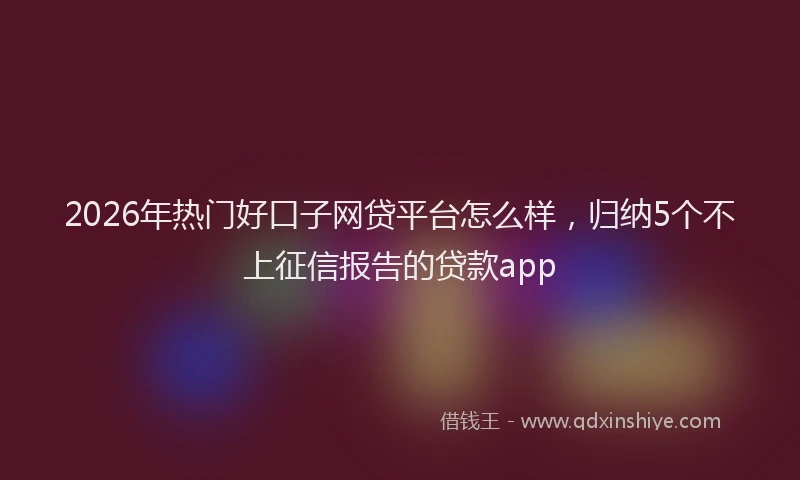 2026年热门好口子网贷平台怎么样，归纳5个不上征信报告的贷款app