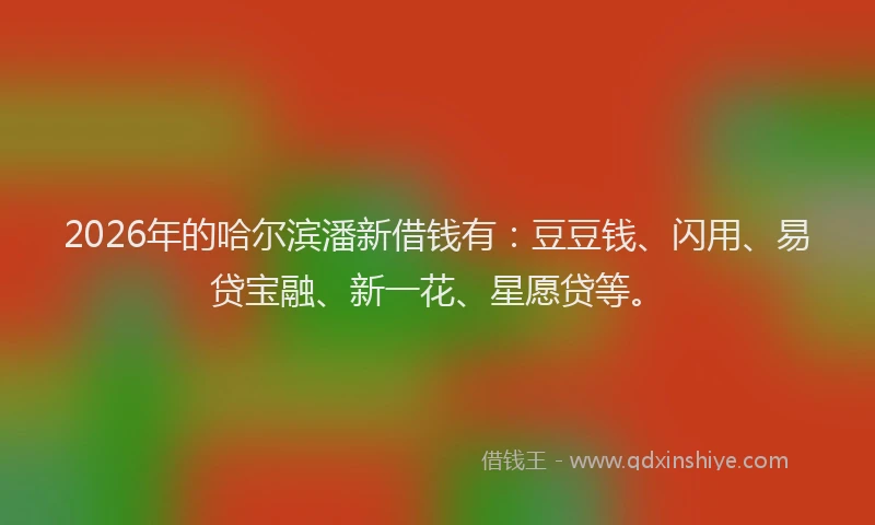 2026年的哈尔滨潘新借钱有：豆豆钱、闪用、易贷宝融、新一花、星愿贷等。