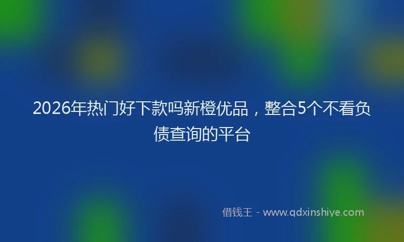2026年热门好下款吗新橙优品，整合5个不看负债查询的平台
