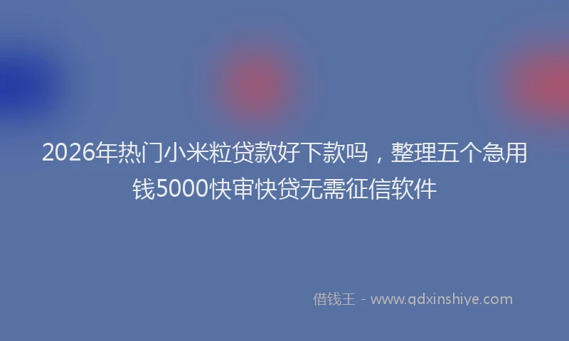 2026年热门小米粒贷款好下款吗，整理五个急用钱5000快审快贷无需征信软件