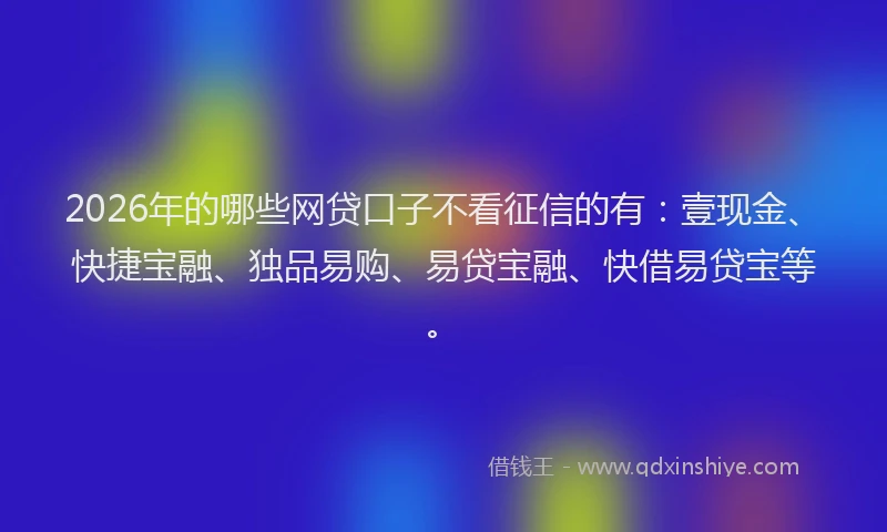 2026年的哪些网贷口子不看征信的有：壹现金、快捷宝融、独品易购、易贷宝融、快借易贷宝等。
