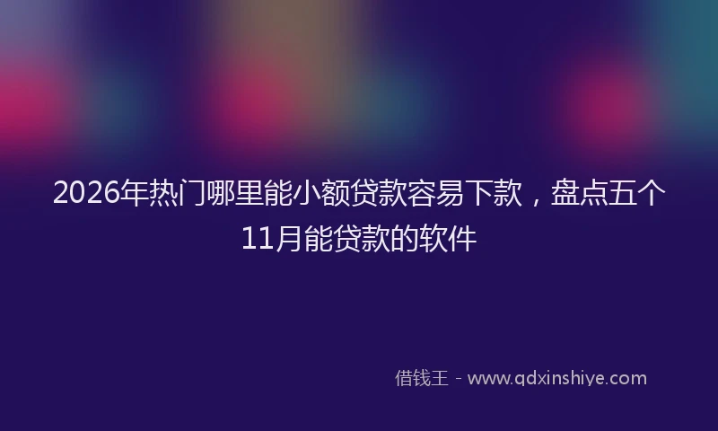 2026年热门哪里能小额贷款容易下款，盘点五个11月能贷款的软件