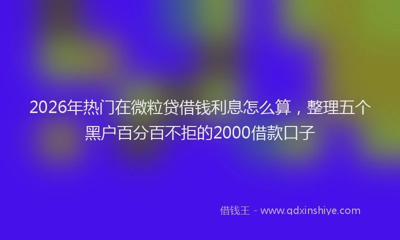 2026年热门在微粒贷借钱利息怎么算，整理五个黑户百分百不拒的2000借款口子
