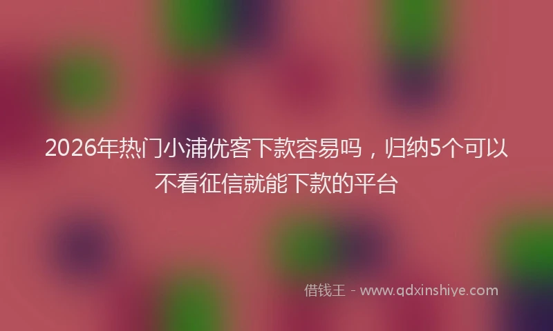 2026年热门小浦优客下款容易吗，归纳5个可以不看征信就能下款的平台