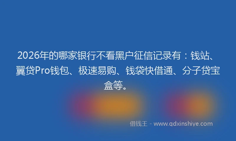 2026年的哪家银行不看黑户征信记录有：钱站、翼贷Pro钱包、极速易购、钱袋快借通、分子贷宝盒等。