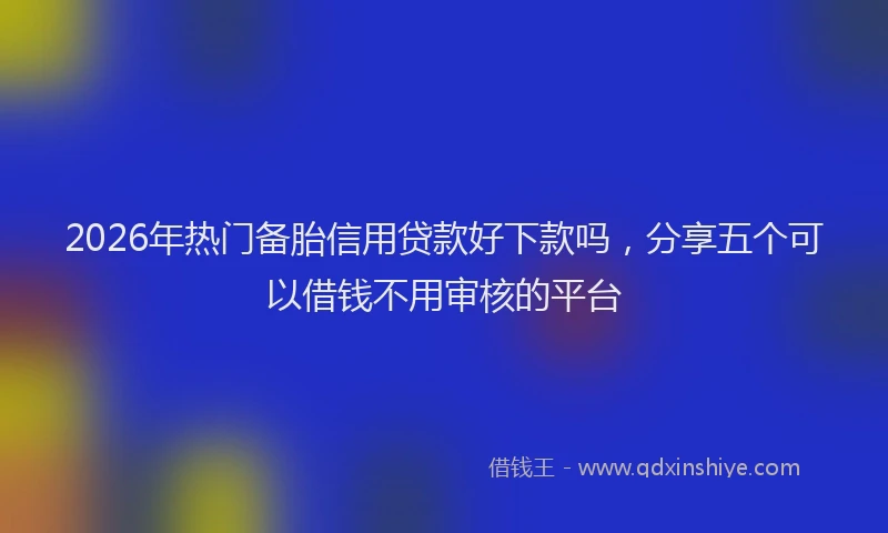 2026年热门备胎信用贷款好下款吗，分享五个可以借钱不用审核的平台