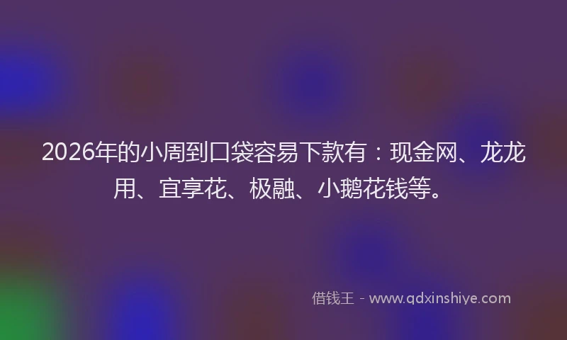 2026年的小周到口袋容易下款有：现金网、龙龙用、宜享花、极融、小鹅花钱等。