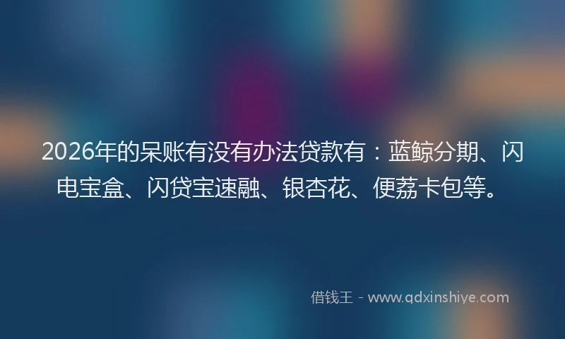 2026年的呆账有没有办法贷款有：蓝鲸分期、闪电宝盒、闪贷宝速融、银杏花、便荔卡包等。