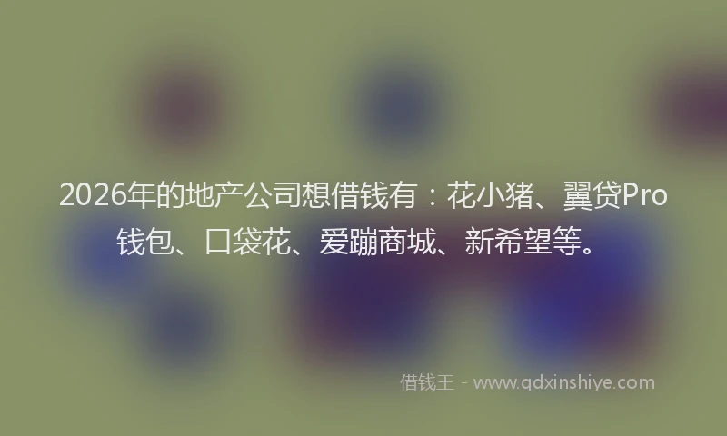 2026年的地产公司想借钱有：花小猪、翼贷Pro钱包、口袋花、爱蹦商城、新希望等。