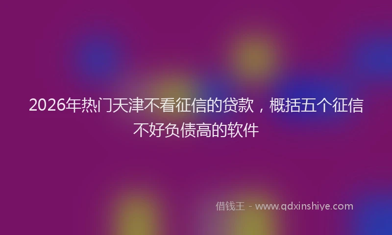 2026年热门天津不看征信的贷款，概括五个征信不好负债高的软件