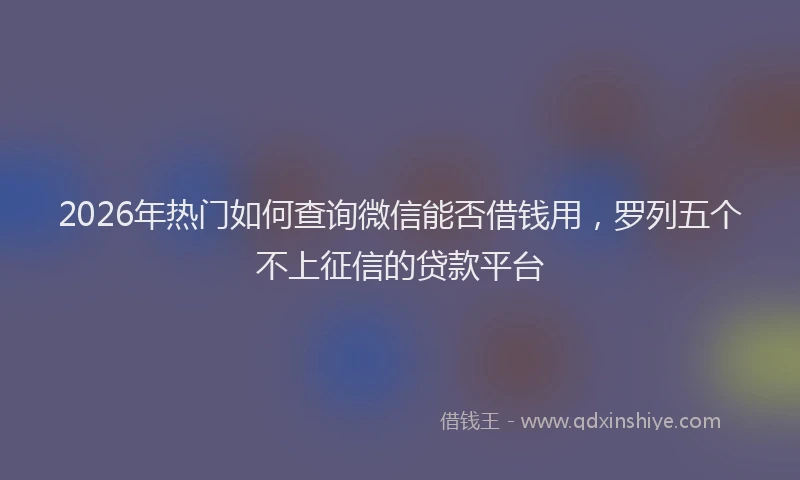 2026年热门如何查询微信能否借钱用，罗列五个不上征信的贷款平台