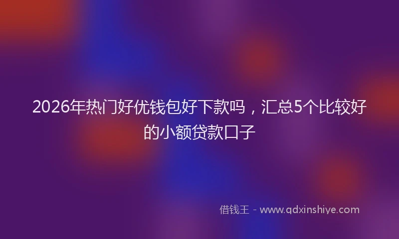2026年热门好优钱包好下款吗，汇总5个比较好的小额贷款口子