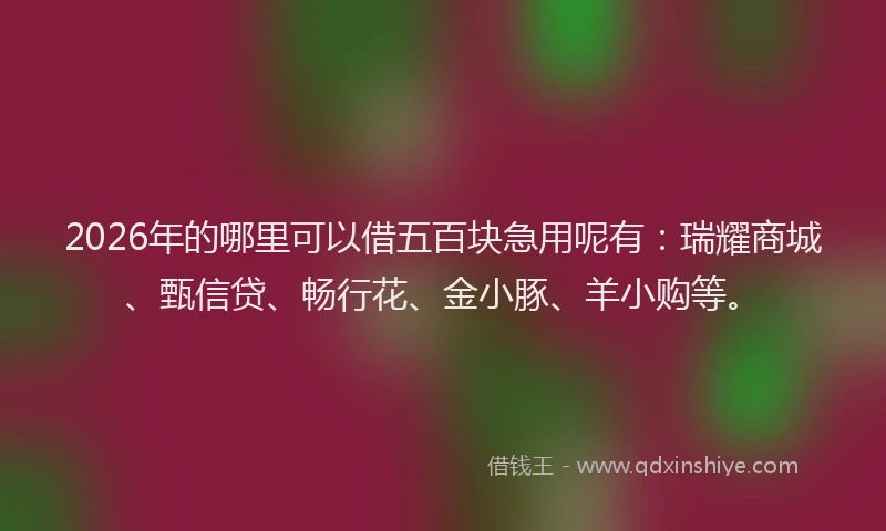 2026年的哪里可以借五百块急用呢有：瑞耀商城、甄信贷、畅行花、金小豚、羊小购等。