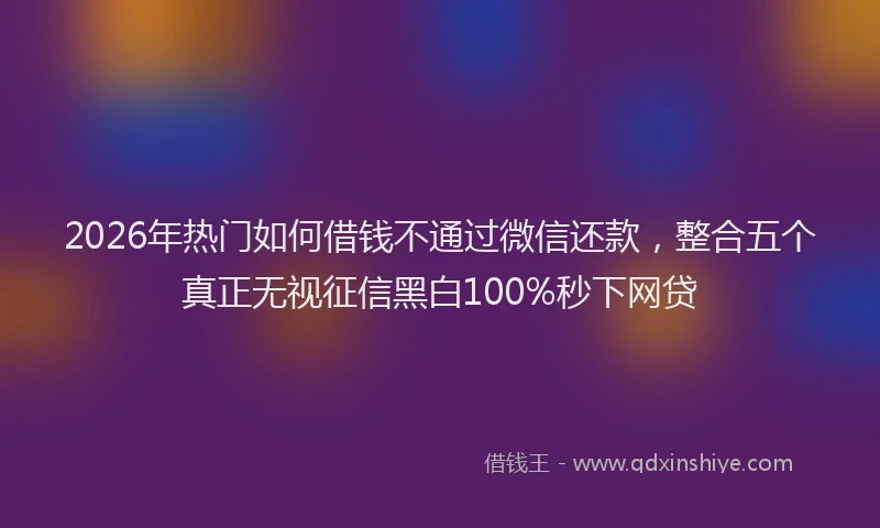 2026年热门如何借钱不通过微信还款，整合五个真正无视征信黑白100%秒下网贷