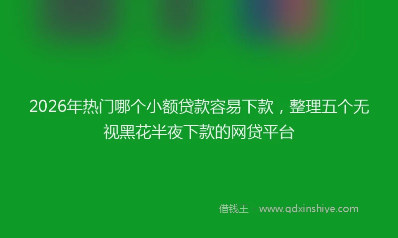 2026年热门哪个小额贷款容易下款，整理五个无视黑花半夜下款的网贷平台