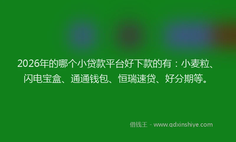 2026年的哪个小贷款平台好下款的有：小麦粒、闪电宝盒、通通钱包、恒瑞速贷、好分期等。