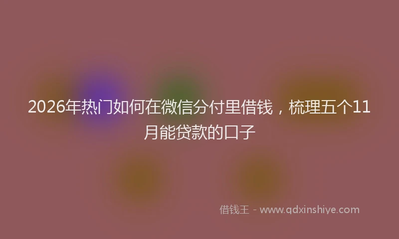 2026年热门如何在微信分付里借钱，梳理五个11月能贷款的口子