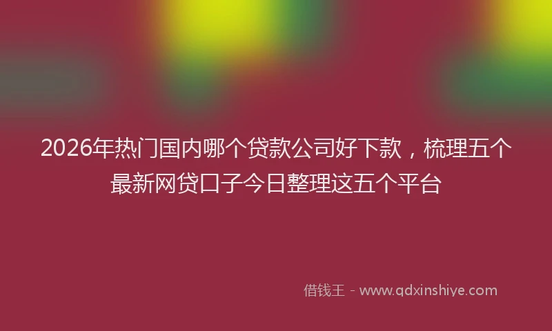 2026年热门国内哪个贷款公司好下款，梳理五个最新网贷口子今日整理这五个平台