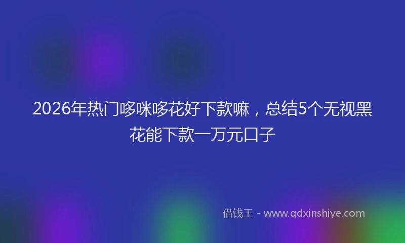 2026年热门哆咪哆花好下款嘛，总结5个无视黑花能下款一万元口子