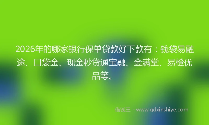 2026年的哪家银行保单贷款好下款有：钱袋易融途、口袋金、现金秒贷通宝融、金满堂、易橙优品等。