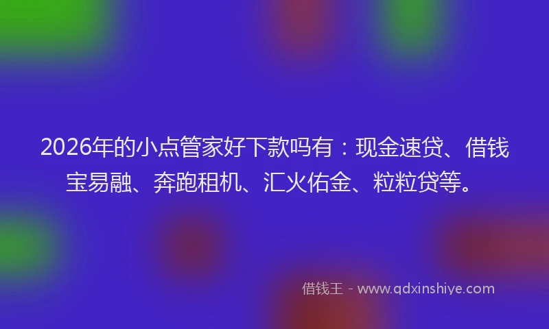 2026年的小点管家好下款吗有：现金速贷、借钱宝易融、奔跑租机、汇火佑金、粒粒贷等。
