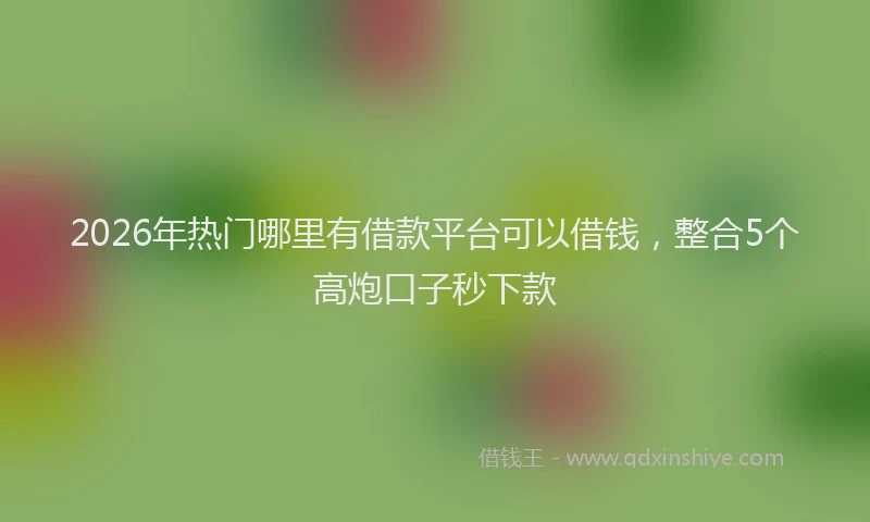 2026年热门哪里有借款平台可以借钱，整合5个高炮口子秒下款
