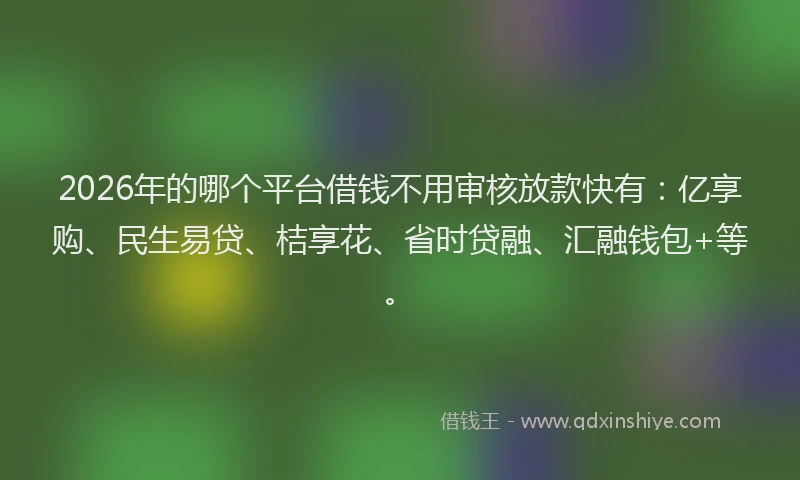 2026年的哪个平台借钱不用审核放款快有：亿享购、民生易贷、桔享花、省时贷融、汇融钱包+等。