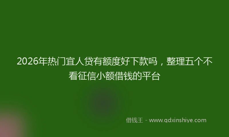 2026年热门宜人贷有额度好下款吗，整理五个不看征信小额借钱的平台