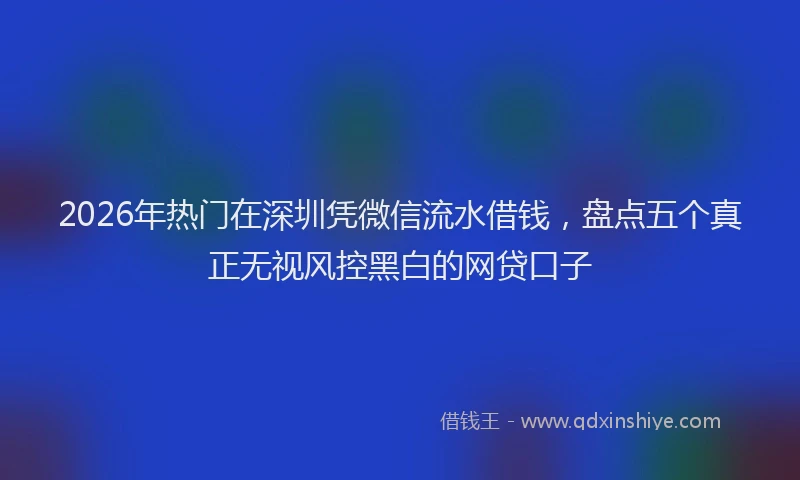 2026年热门在深圳凭微信流水借钱，盘点五个真正无视风控黑白的网贷口子