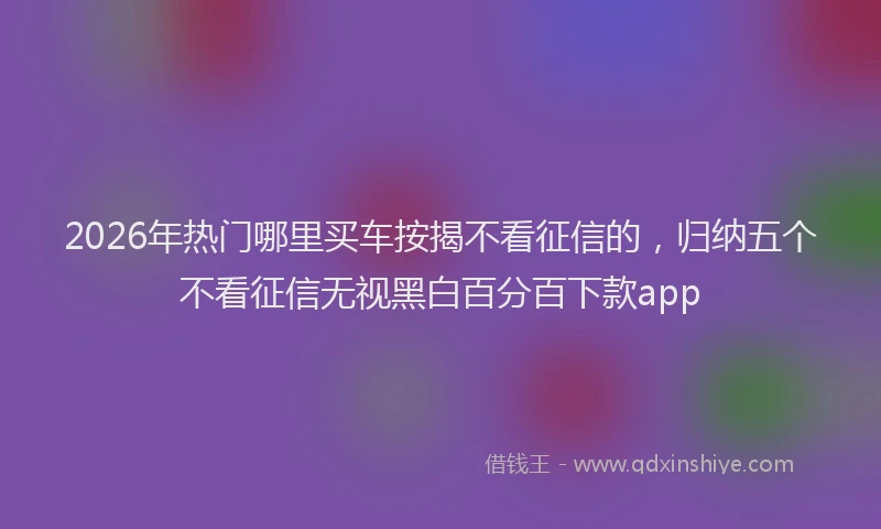 2026年热门哪里买车按揭不看征信的，归纳五个不看征信无视黑白百分百下款app