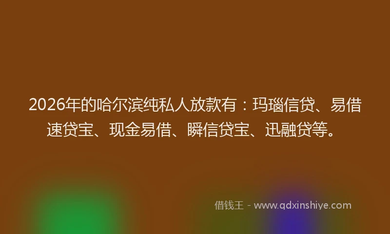 2026年的哈尔滨纯私人放款有：玛瑙信贷、易借速贷宝、现金易借、瞬信贷宝、迅融贷等。