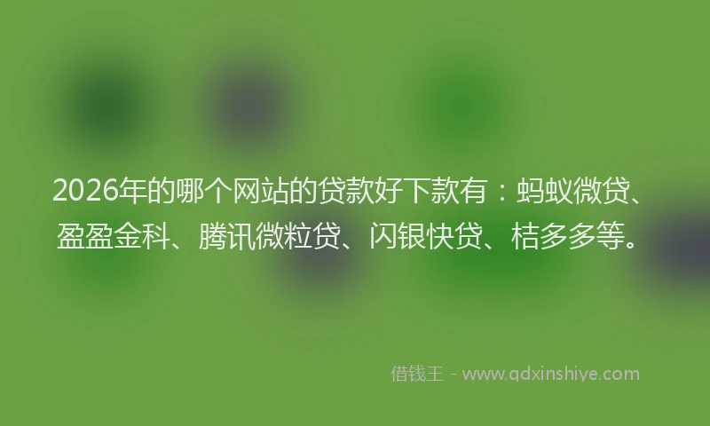 2026年的哪个网站的贷款好下款有：蚂蚁微贷、盈盈金科、腾讯微粒贷、闪银快贷、桔多多等。