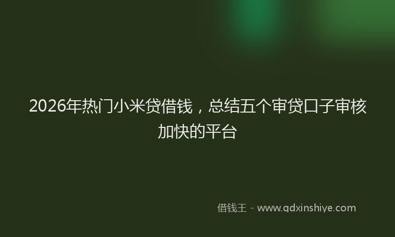 2026年热门小米贷借钱，总结五个审贷口子审核加快的平台