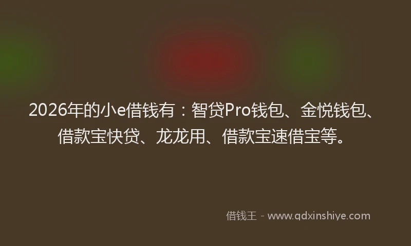 2026年的小e借钱有：智贷Pro钱包、金悦钱包、借款宝快贷、龙龙用、借款宝速借宝等。