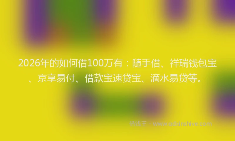 2026年的如何借100万有：随手借、祥瑞钱包宝、京享易付、借款宝速贷宝、滴水易贷等。