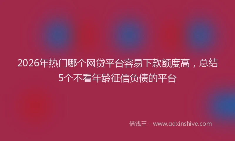 2026年热门哪个网贷平台容易下款额度高，总结5个不看年龄征信负债的平台