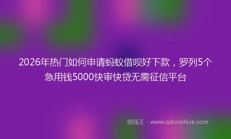 2026年热门如何申请蚂蚁借呗好下款，罗列5个急用钱5000快审快贷无需征信平台