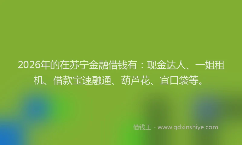 2026年的在苏宁金融借钱有：现金达人、一姐租机、借款宝速融通、葫芦花、宜口袋等。