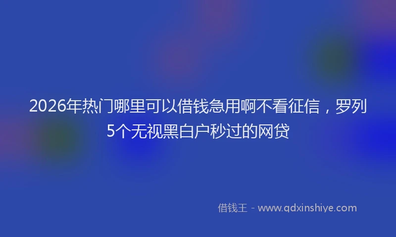 2026年热门哪里可以借钱急用啊不看征信，罗列5个无视黑白户秒过的网贷