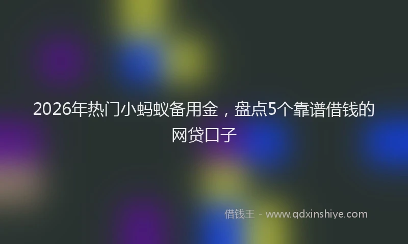 2026年热门小蚂蚁备用金，盘点5个靠谱借钱的网贷口子