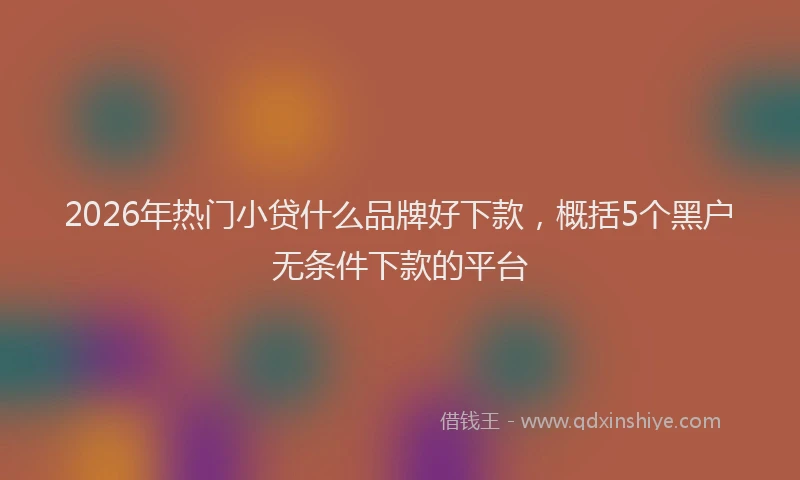 2026年热门小贷什么品牌好下款，概括5个黑户无条件下款的平台