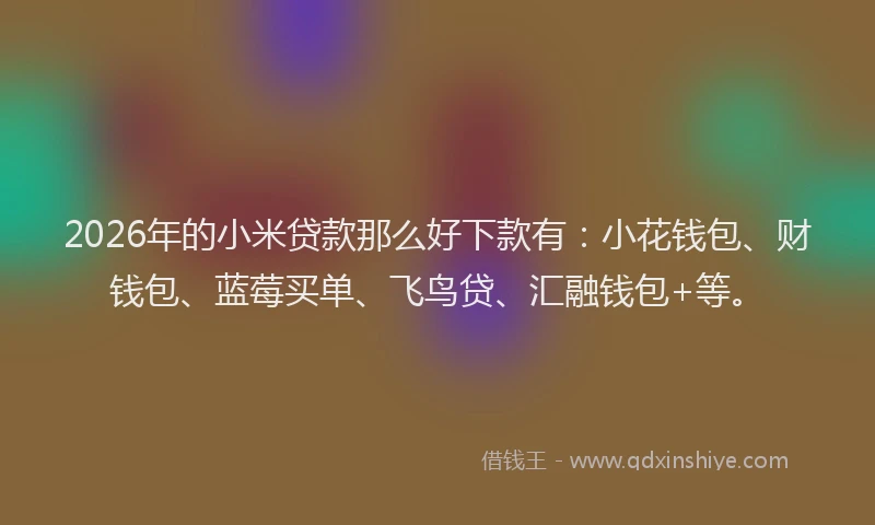 2026年的小米贷款那么好下款有：小花钱包、财钱包、蓝莓买单、飞鸟贷、汇融钱包+等。